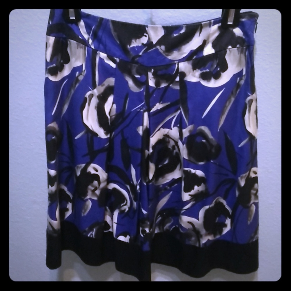 Ann Taylor skirt
